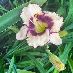 Meet your Posher, Cathy